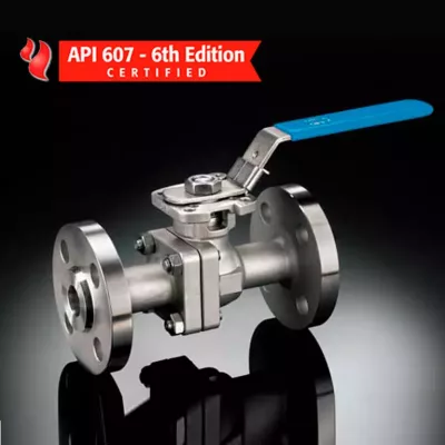Imagem de demonstração do produto FD9 Firesafe ASME 600 Series